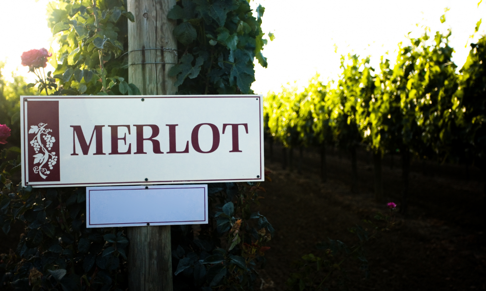 Wino Merlot.